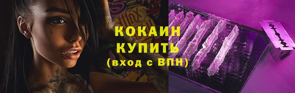 шишки Зеленокумск