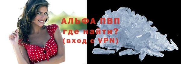ECSTASY Иннополис